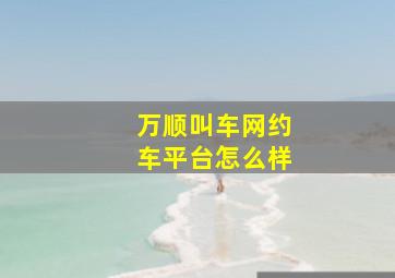 万顺叫车网约车平台怎么样