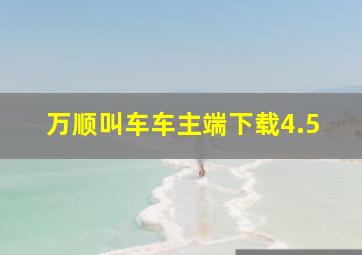 万顺叫车车主端下载4.5