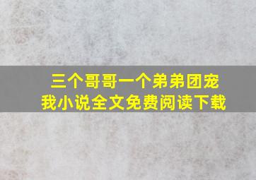 三个哥哥一个弟弟团宠我小说全文免费阅读下载