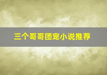 三个哥哥团宠小说推荐