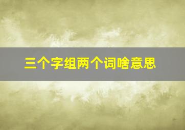 三个字组两个词啥意思