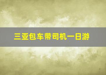 三亚包车带司机一日游