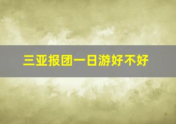 三亚报团一日游好不好