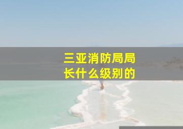 三亚消防局局长什么级别的