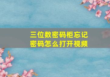 三位数密码柜忘记密码怎么打开视频