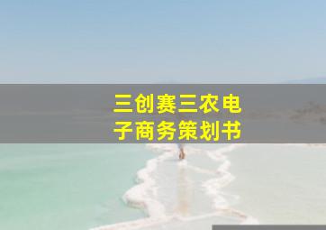 三创赛三农电子商务策划书