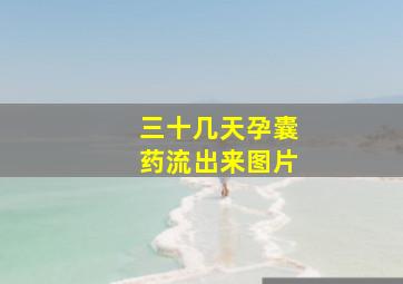 三十几天孕囊药流出来图片