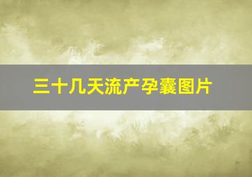 三十几天流产孕囊图片