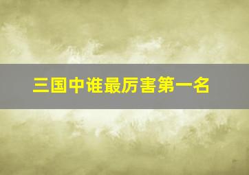 三国中谁最厉害第一名