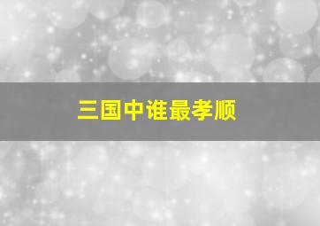 三国中谁最孝顺