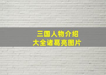 三国人物介绍大全诸葛亮图片