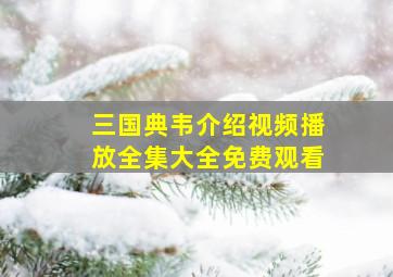 三国典韦介绍视频播放全集大全免费观看