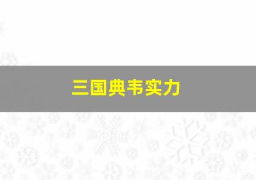 三国典韦实力