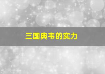 三国典韦的实力