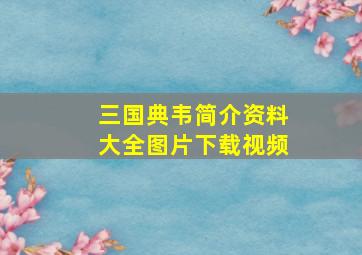 三国典韦简介资料大全图片下载视频