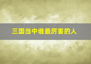 三国当中谁最厉害的人