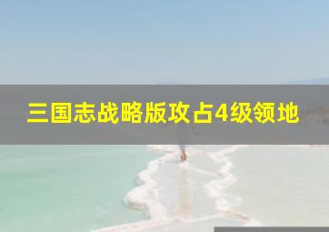 三国志战略版攻占4级领地