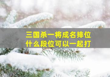 三国杀一将成名排位什么段位可以一起打