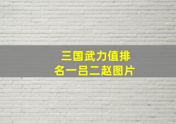 三国武力值排名一吕二赵图片