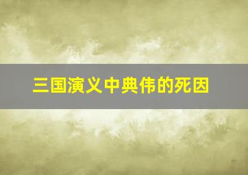 三国演义中典伟的死因