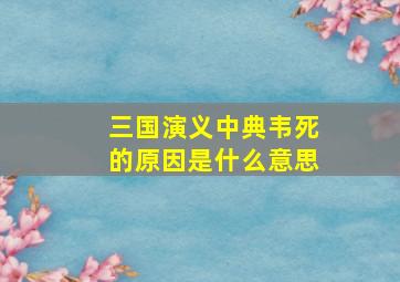 三国演义中典韦死的原因是什么意思