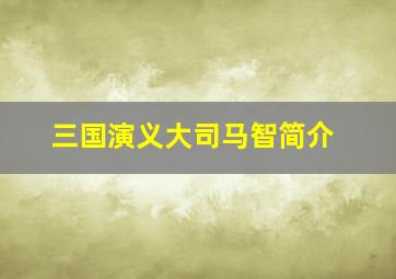 三国演义大司马智简介