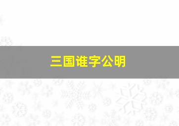 三国谁字公明