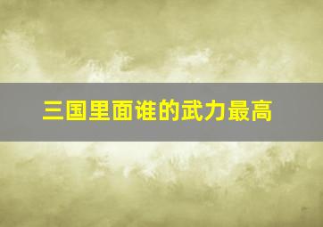 三国里面谁的武力最高