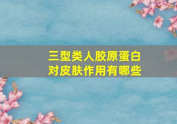 三型类人胶原蛋白对皮肤作用有哪些