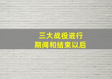 三大战役进行期间和结束以后