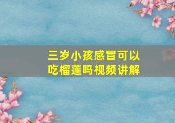 三岁小孩感冒可以吃榴莲吗视频讲解