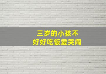 三岁的小孩不好好吃饭爱哭闹