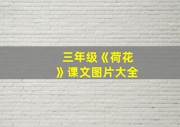 三年级《荷花》课文图片大全