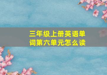 三年级上册英语单词第六单元怎么读