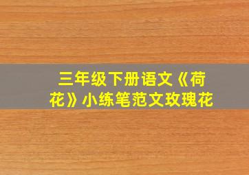 三年级下册语文《荷花》小练笔范文玫瑰花