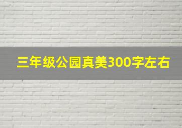 三年级公园真美300字左右