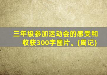 三年级参加运动会的感受和收获300字图片。(周记)