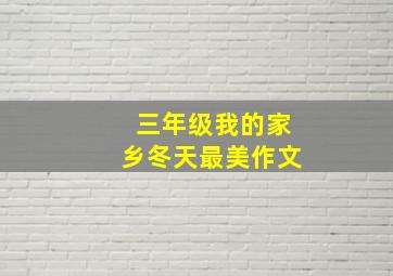 三年级我的家乡冬天最美作文