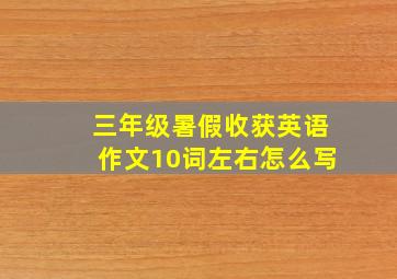 三年级暑假收获英语作文10词左右怎么写