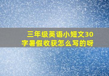 三年级英语小短文30字暑假收获怎么写的呀