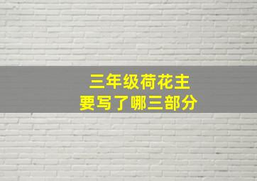 三年级荷花主要写了哪三部分