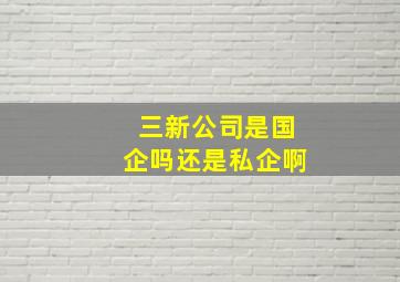 三新公司是国企吗还是私企啊