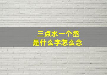 三点水一个丞是什么字怎么念