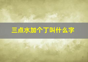 三点水加个丁叫什么字