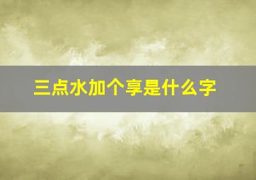 三点水加个享是什么字