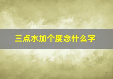 三点水加个度念什么字