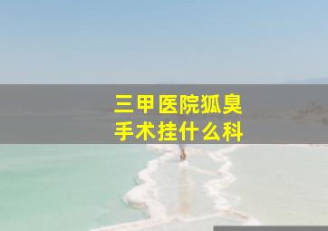 三甲医院狐臭手术挂什么科