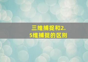 三维捕捉和2.5维捕捉的区别