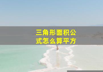 三角形面积公式怎么算平方