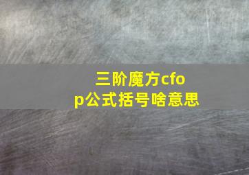 三阶魔方cfop公式括号啥意思